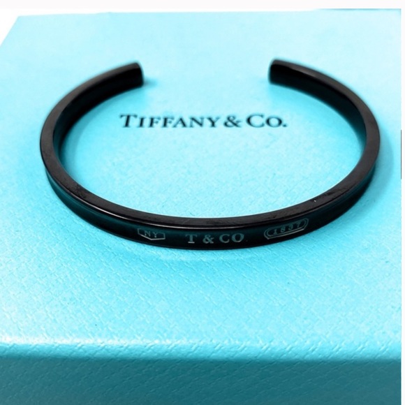 Titanium Bracelet 